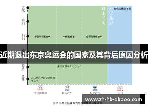 近期退出东京奥运会的国家及其背后原因分析 近期退出东京奥运会的国家及其背后原因分析